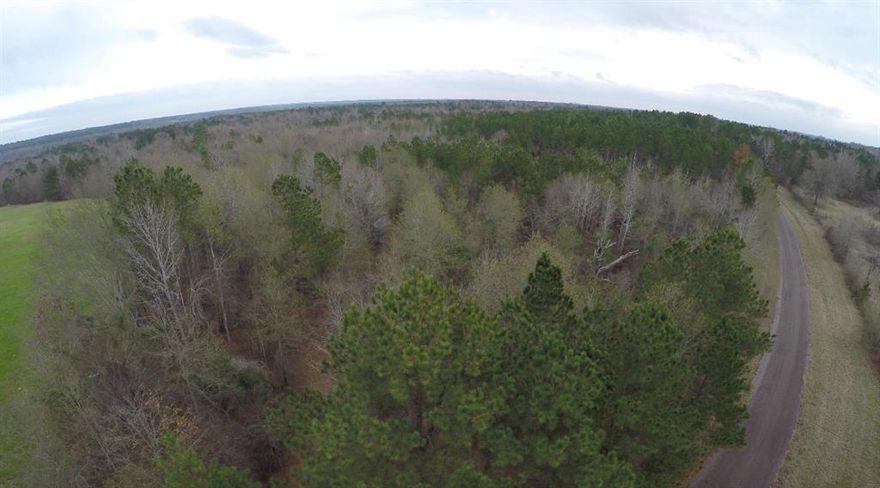 Unique land ownership opportunity.  Two co-owners are SELLING THEIR INTEREST in over 330 acres of land.  Beautiful heavily treed property along either side of South County Road 245 in the piney woods of East Texas.  Wonderful get-away, vineyard, bed and breakfast, retreat or event center, recreational development or residential development represent a few of numerous possibilities for the land in this unincorporated area of Smith County Multiple listings in MLS comprise over 330 acres.