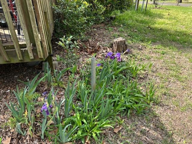 HOLBROOK ACRES - Residential