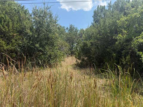 Photo of 817 Pawnee Trail, Granbury, TX 76048 (MLS # 21354772)