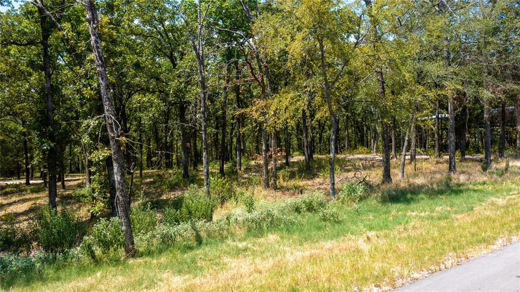 Cedar Creek Ranch - Land