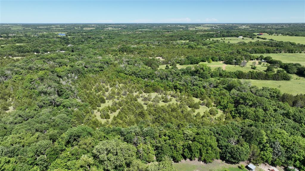 Ewing Alexander A392 - Land