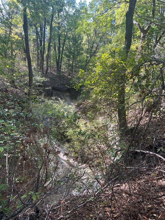 Ewing Alexander A392 - Land