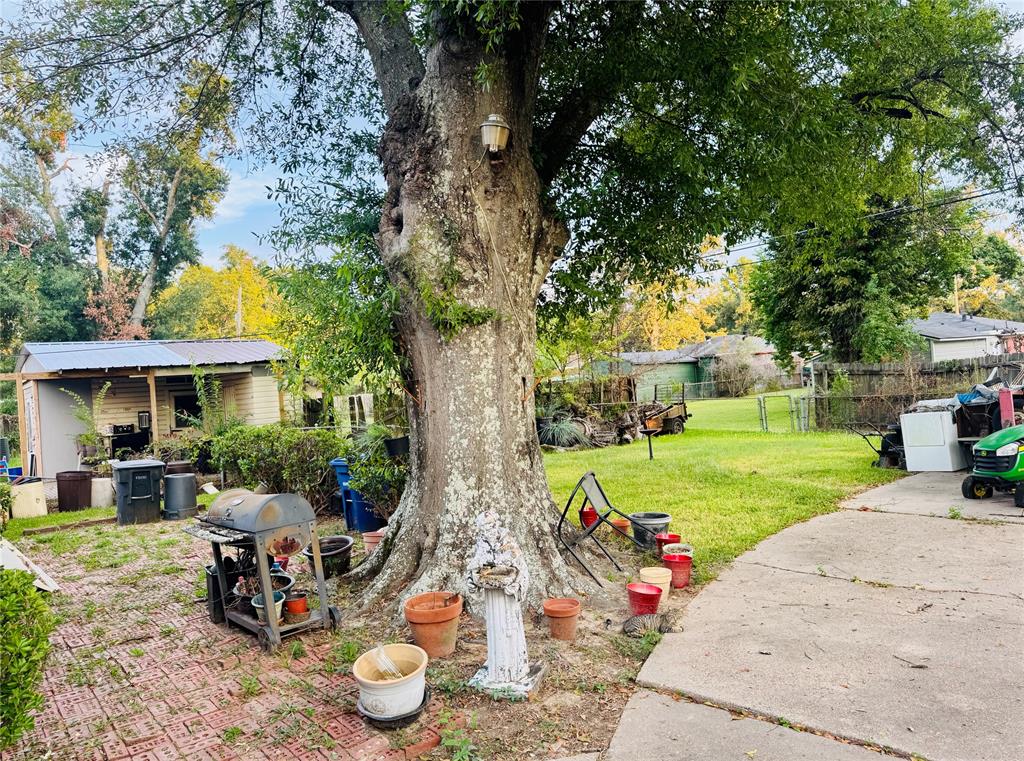 2019 Alma Street