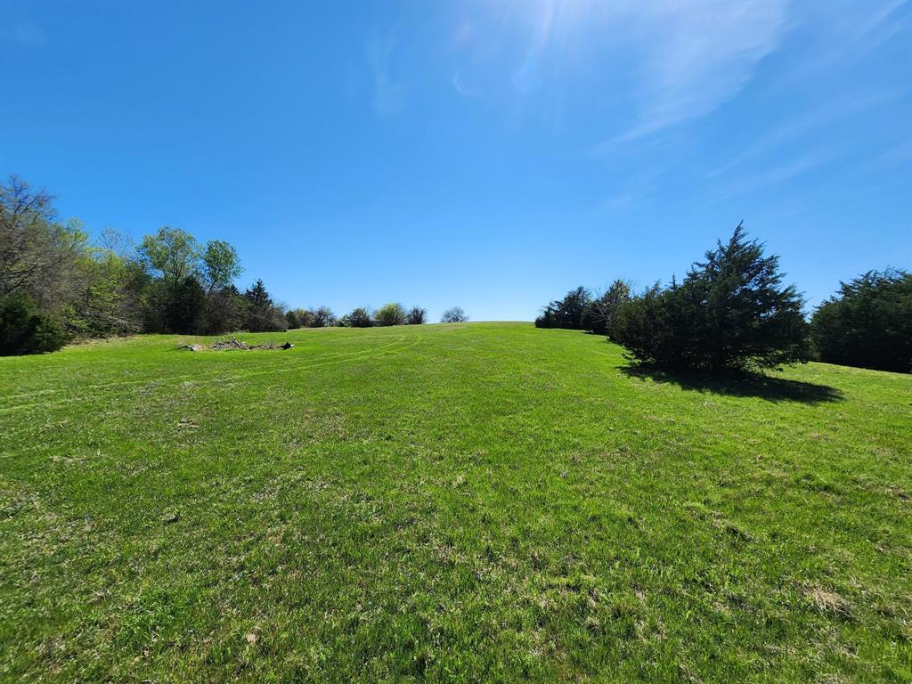 Elija B Reed Surv A-739 - Land