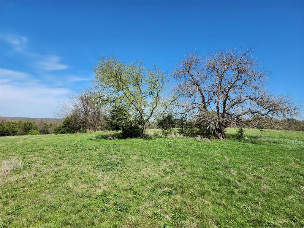Elija B Reed Surv A-739 - Land
