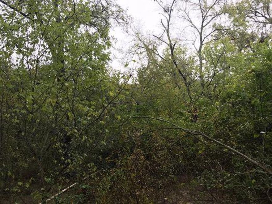 Frontage on FM 1365 and two county roads.  Water and electricity available.   Will divide