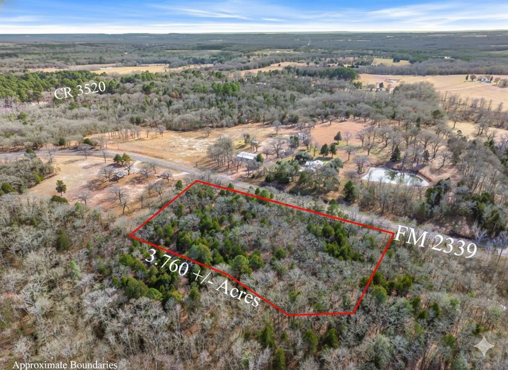 Lot 20,21,22 FM 2339 (Callender Lake X) - Photo 2