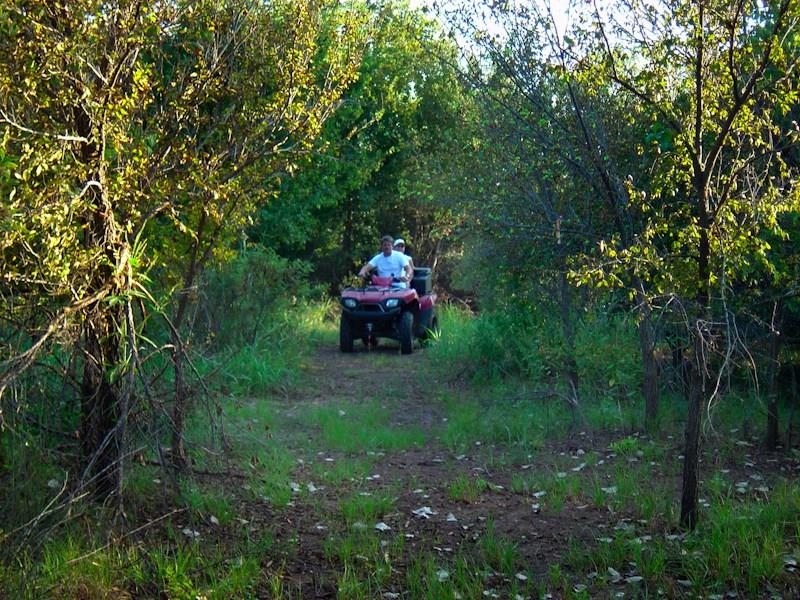 Big Sky Ranch - Land