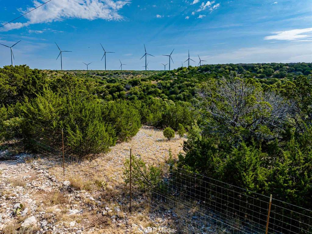 T & P Rr Company Surv Sec 17 - Land