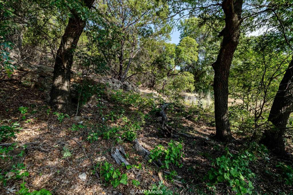 T & P Rr Company Surv Sec 17 - Land