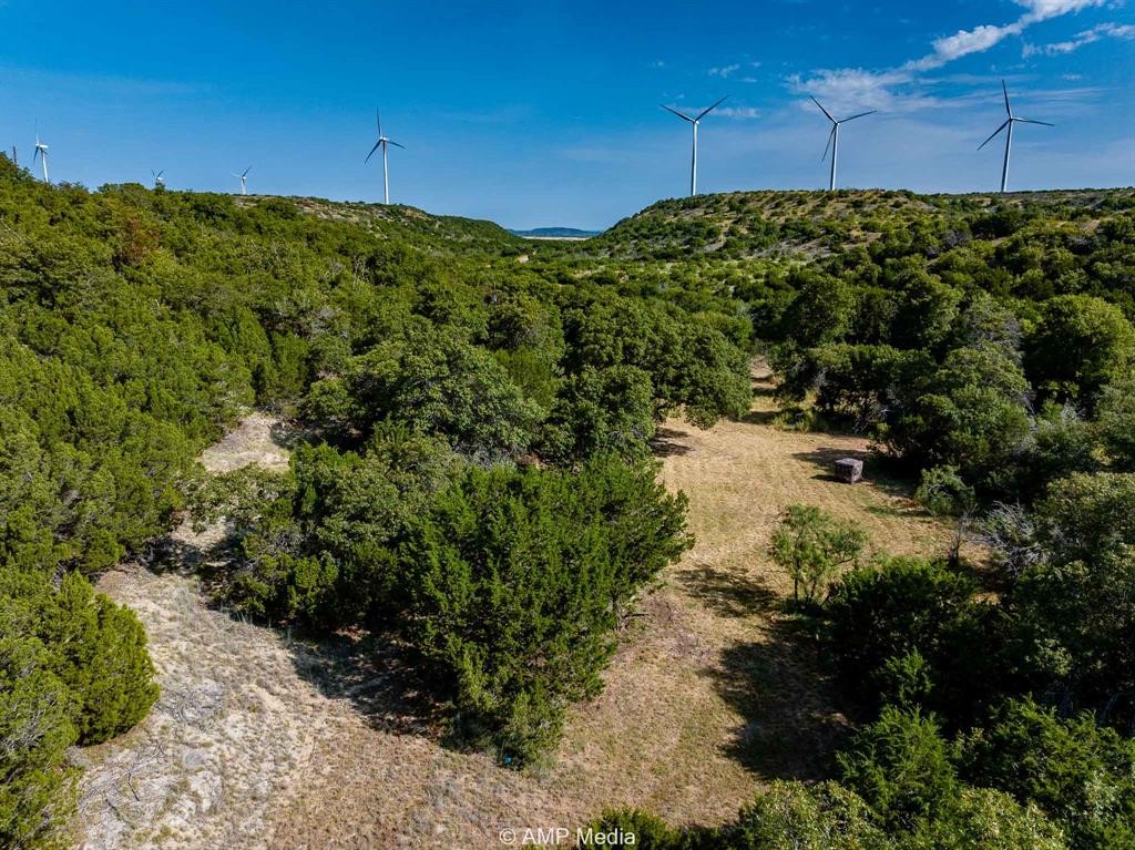 T & P Rr Company Surv Sec 17 - Land