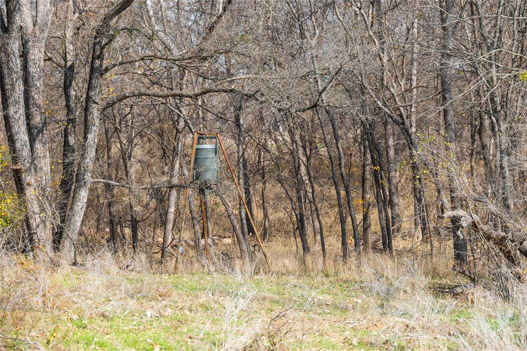 Swanson Yarberry - Land