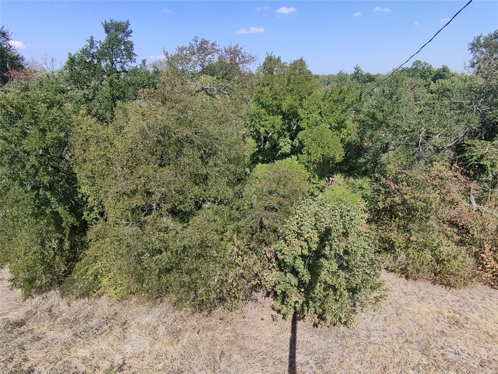 2117 Kingsdale Drive