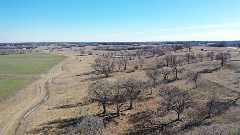 Bailey Winifred - Farm