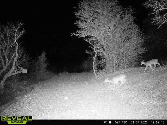 Shamrock Shores Sec A - Land