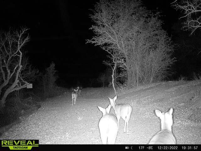 Shamrock Shores Sec A - Land