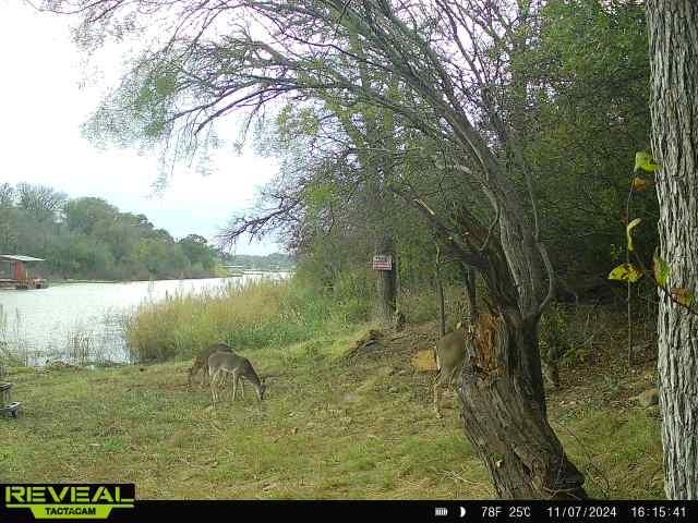 Shamrock Shores Sec A - Land