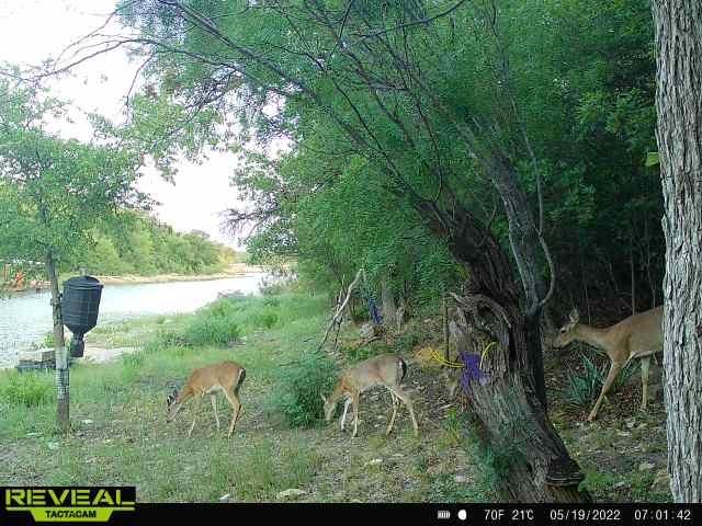 Shamrock Shores Sec A - Land