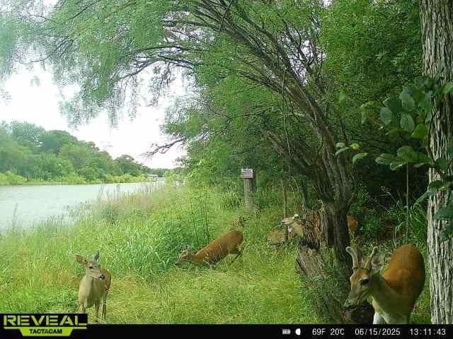 Shamrock Shores Sec A - Land