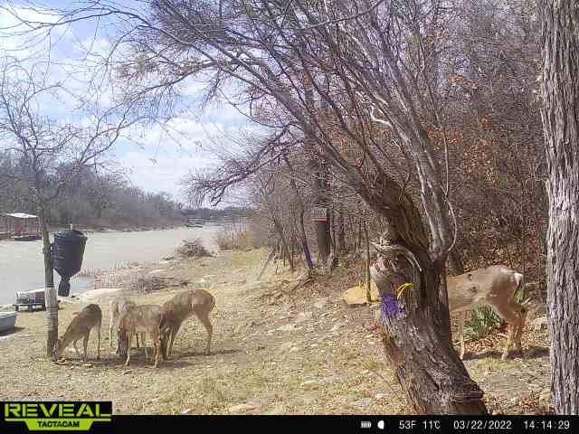 Shamrock Shores Sec A - Land