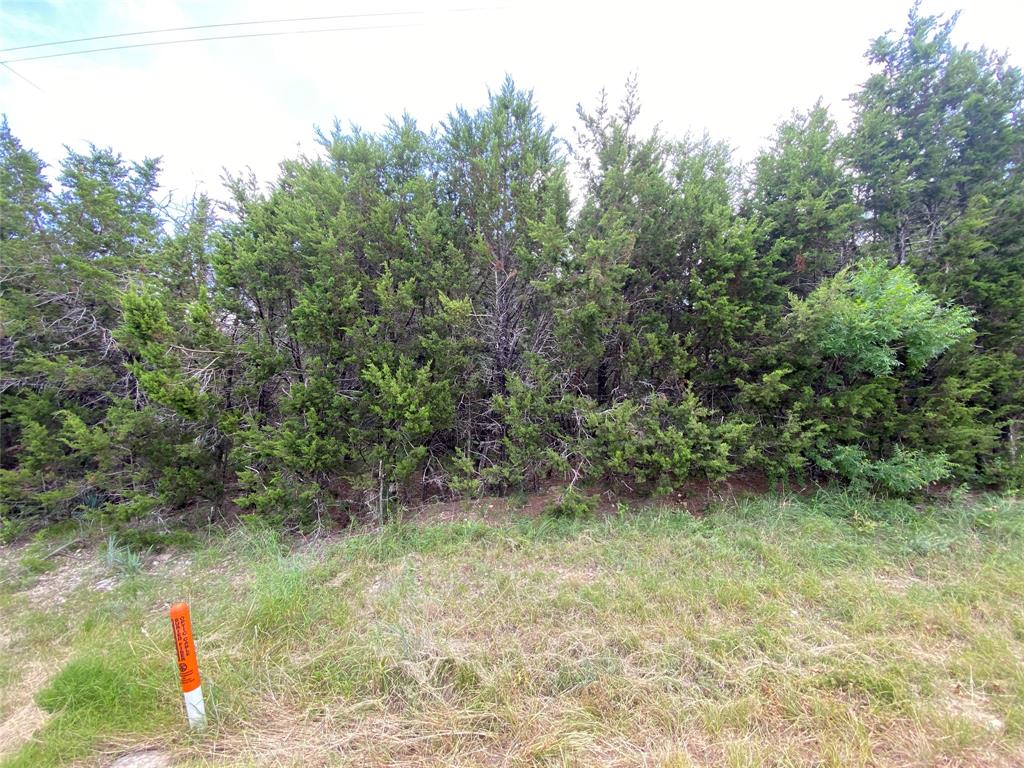 PR 1032 Tx-P7