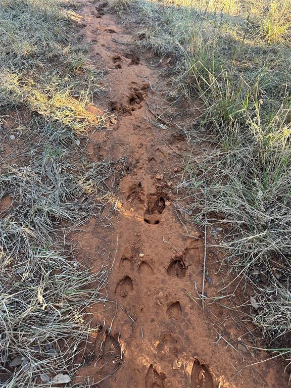 Franklin, Pritchard - Farm