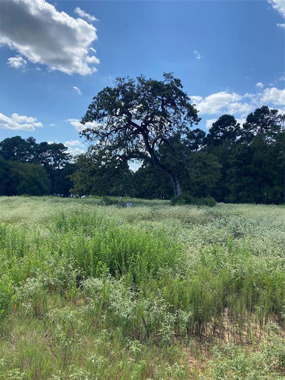 Three Lakes Ranch - Land