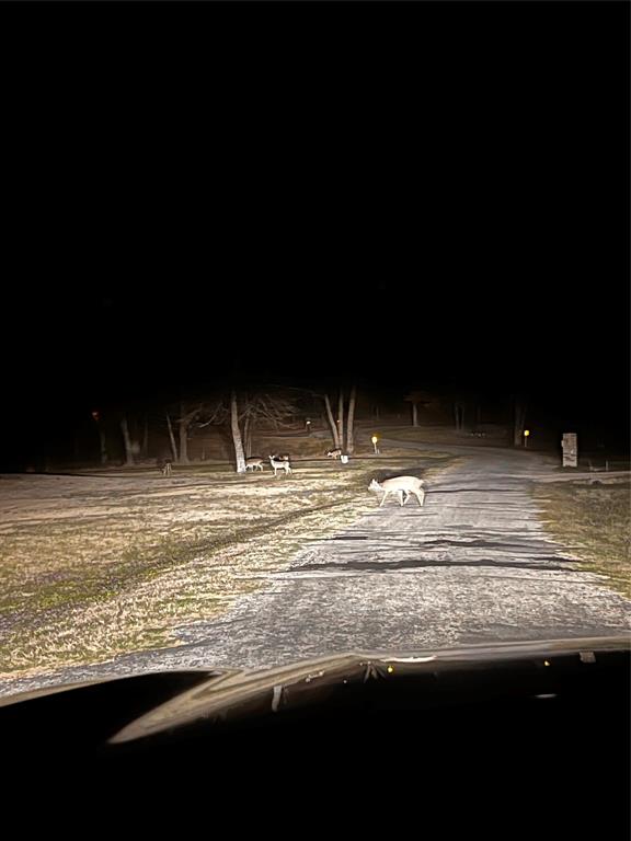 Spring Creek #2 - Residential