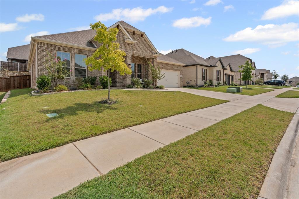 8909 Saddle Free Trail