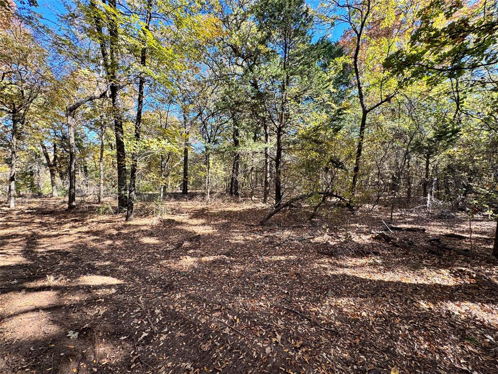 Linken's Landing - Land