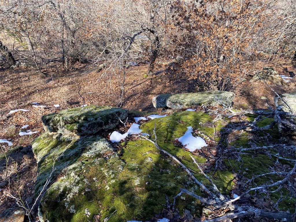 Silver Lakes Ranch - Land