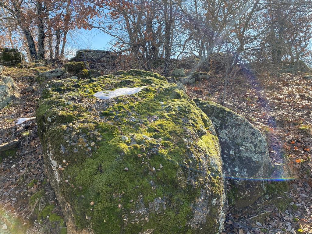 Silver Lakes Ranch - Land