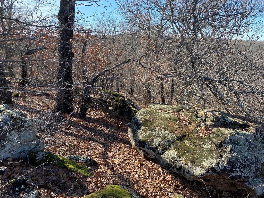 Silver Lakes Ranch - Land