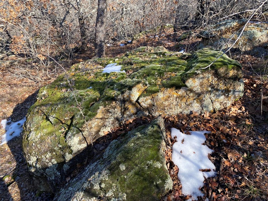 Silver Lakes Ranch - Land