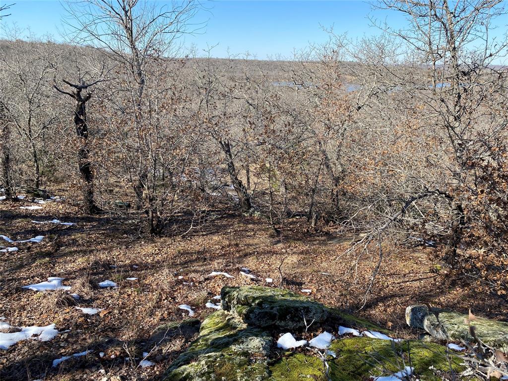 Silver Lakes Ranch - Land