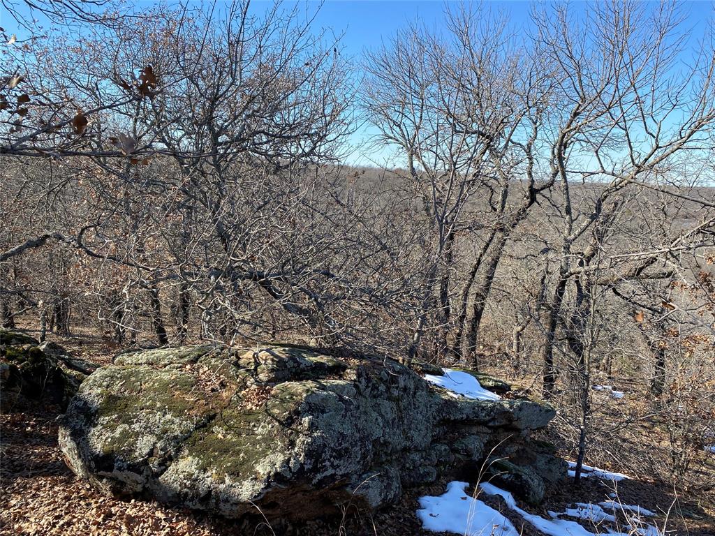 Silver Lakes Ranch - Land