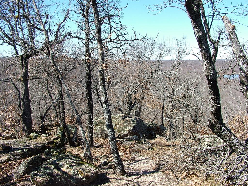 Silver Lakes Ranch - Land