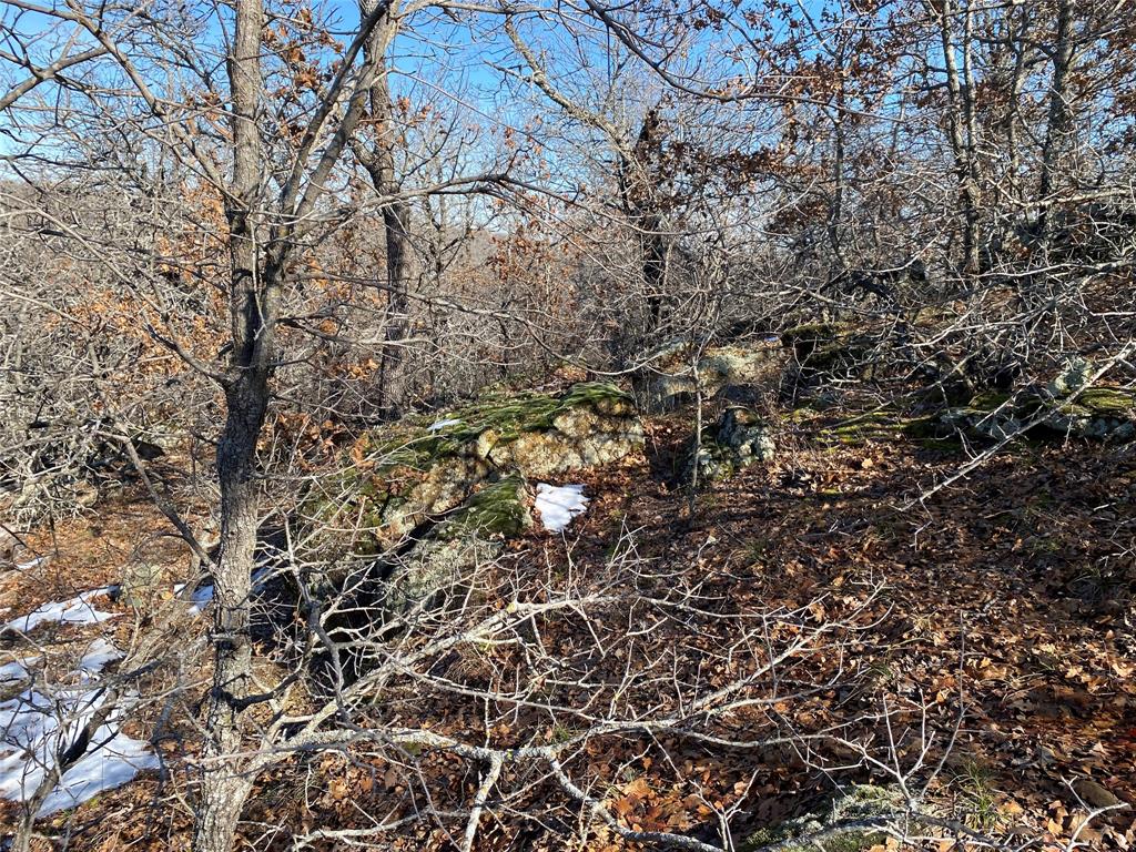 Silver Lakes Ranch - Land