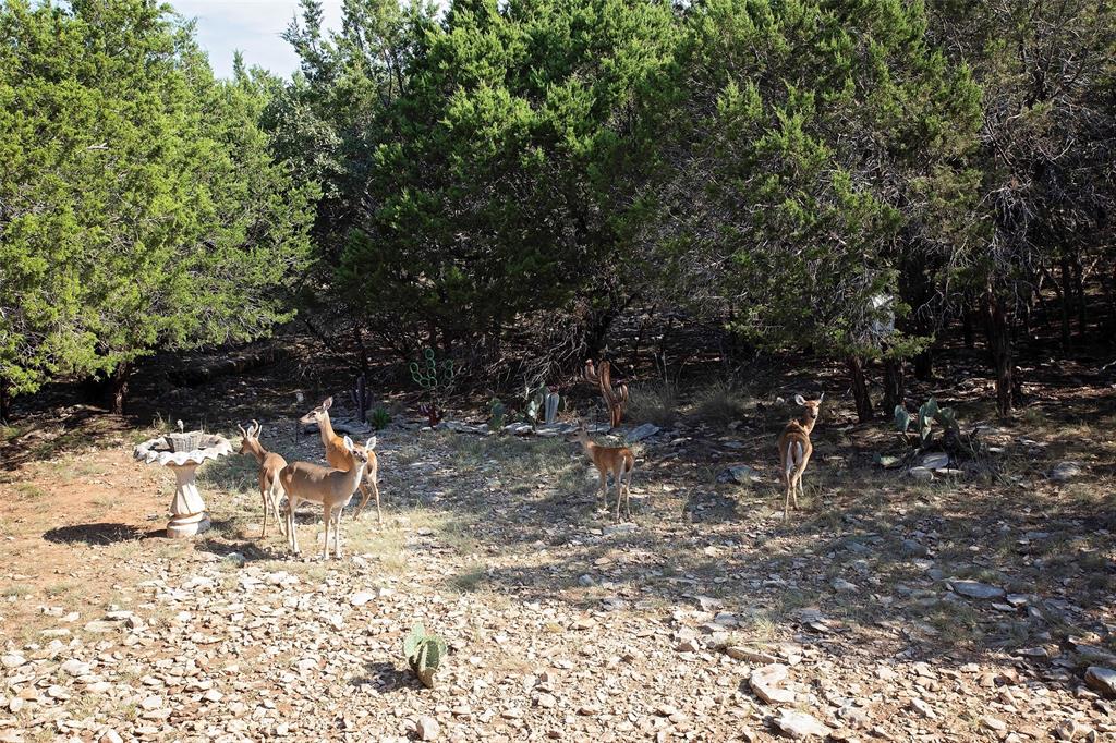 The Cliffs VII - Residential