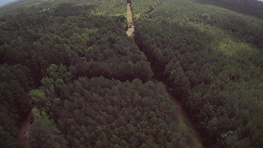 Check out this great piece of property! There are so many possibilities with 20 ACRES of beautiful land in Minden! The land is addressed in Minden, but it is actually considered to be in Claiborne Parish. So you get the best of both worlds being situated in a peaceful rural area, but just minutes away from the conveniences in town. You couldn’t ask for a better spot to build your forever home! It could also be used as hunting land because there is plenty of game in this area and a high line running through the property that would make the perfect shooting lane. Most of the property consists of pine trees.