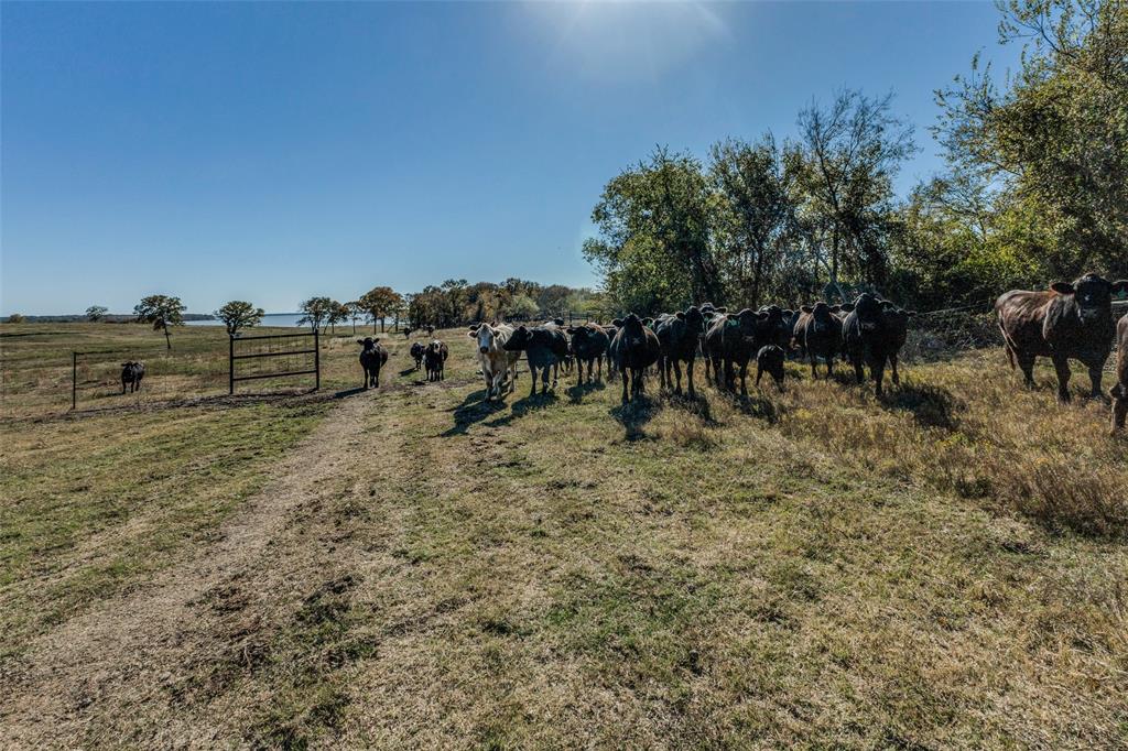 EZEKIAL HIGDON - Residential