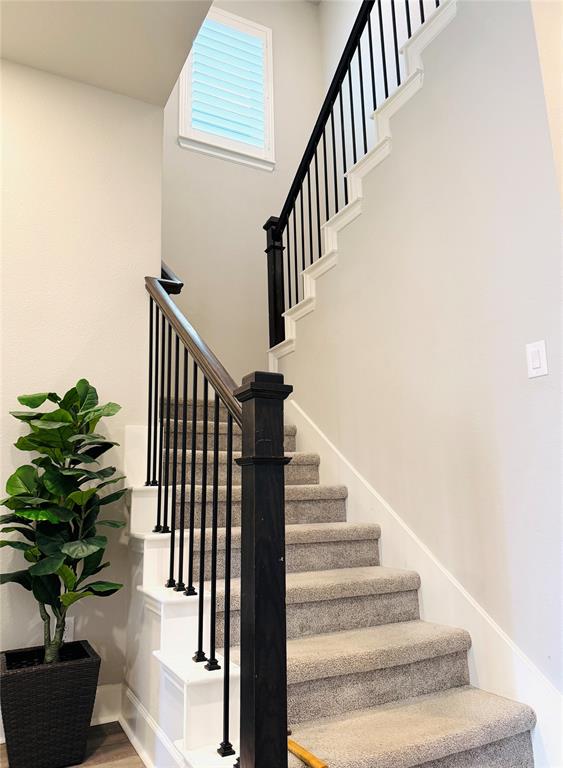 The Reserve at Northaven - Residential