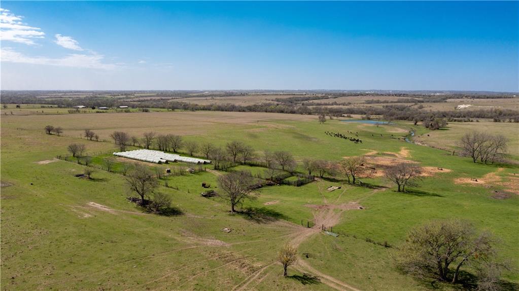 Bruceville-Eddy - Farm