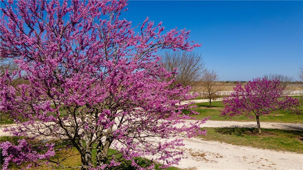 Bruceville-Eddy - Farm