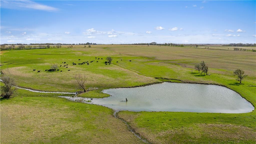 Bruceville-Eddy - Farm