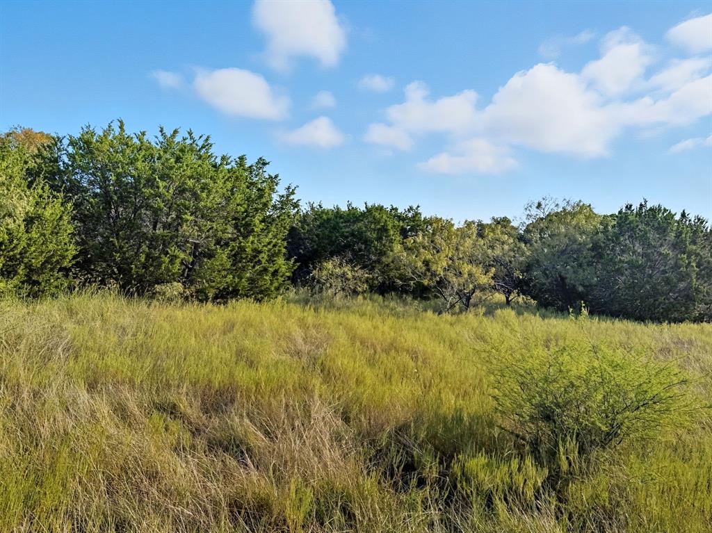 Lot 24 Ph 4 Pr 42126
