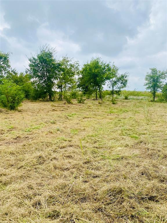 Cougar Mountain Estates Ph 1 - Land