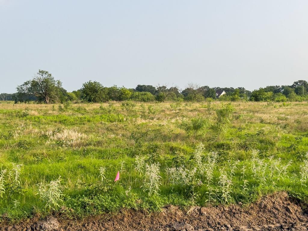 LOT 12 ELM BRANCH