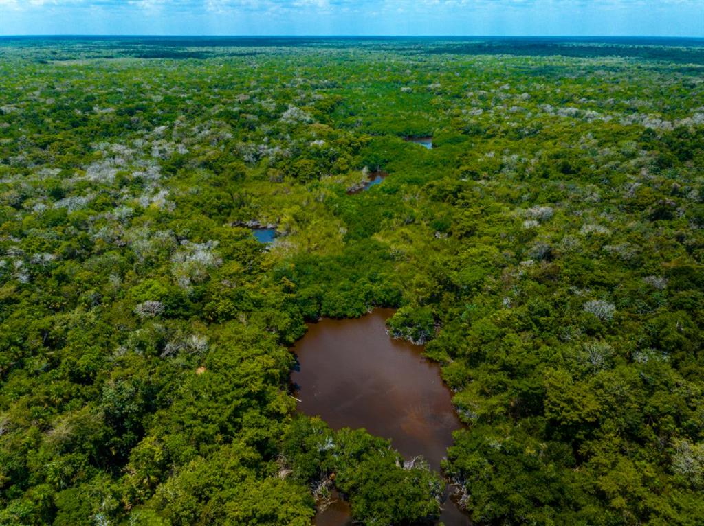 Belize Rural North I - Land