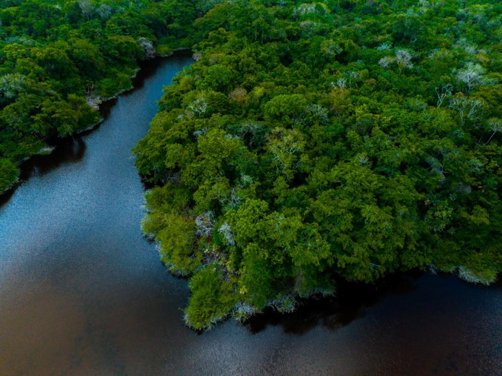 Belize Rural North I - Land